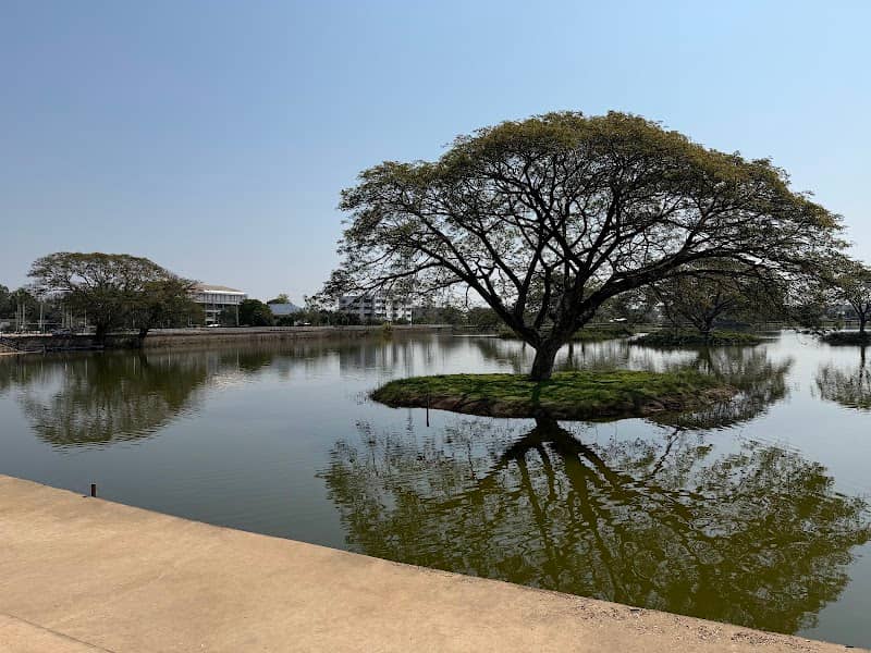 ต้นฉำฉากลางน้ำ - Image 1