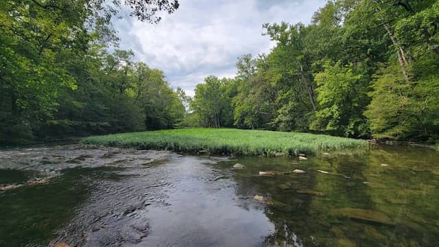 Caesar Creek Gorge State Nature Preserve - Image 1