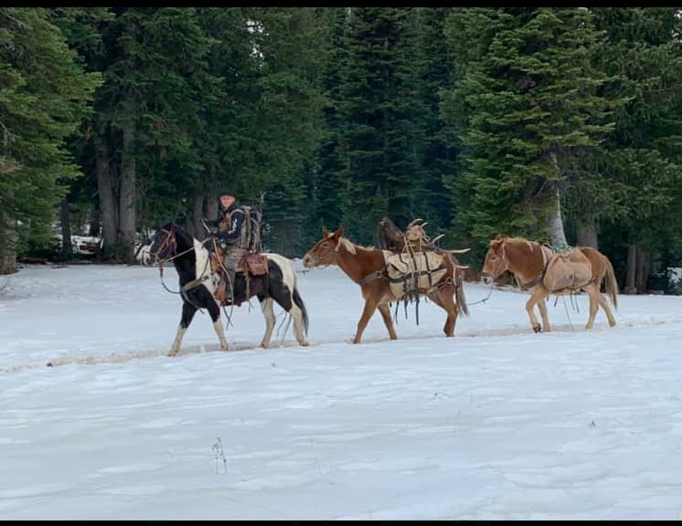 SAW Outfitters - Image 2