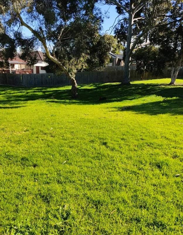 Robert Booth Reserve - Image 3
