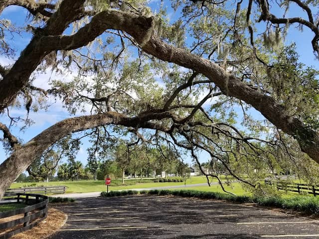 Live Oaks Park in The Villages - Image 1