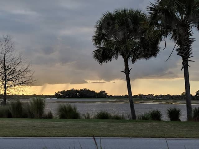 Live Oaks Park in The Villages - Image 2