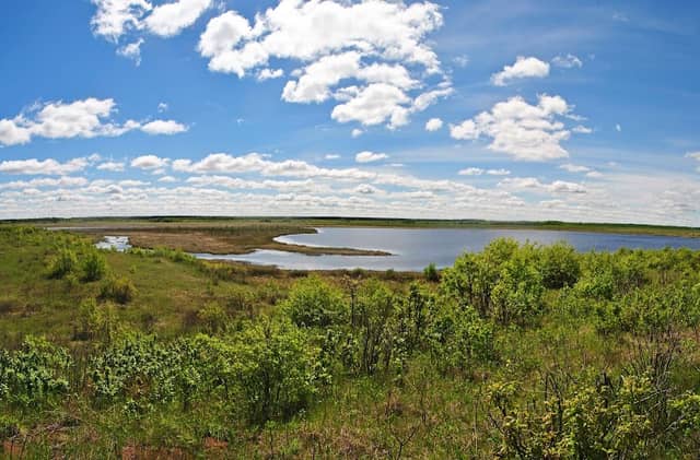 Reed Lake Meadow State Natural Area - Image 1
