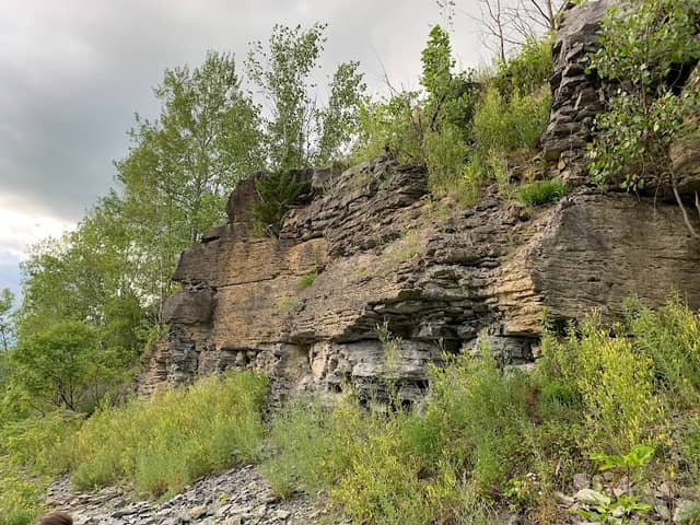 Rickard Hill Fossils - Image 1