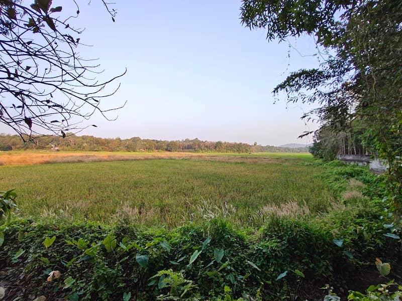 Theeppara തീപ്പാറ - Image 1