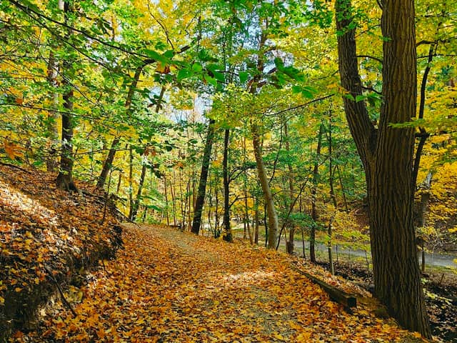 Garfield Park Reservation - Image 2