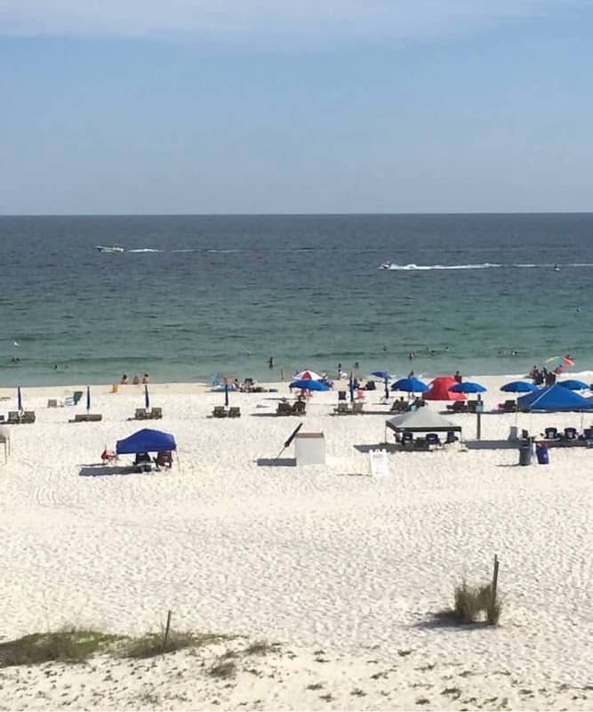 Gulf Shores Public Beach - Image 3