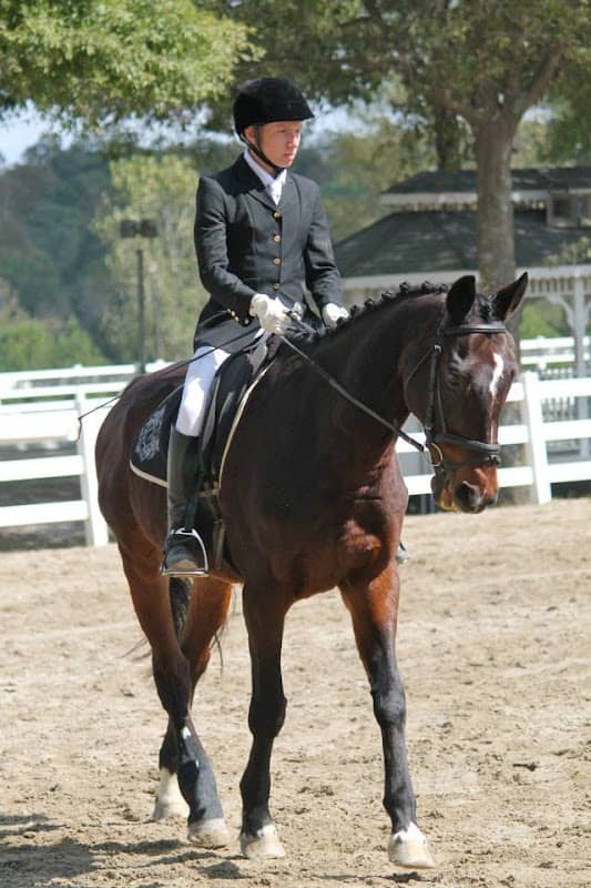 Ellenwood Equestrian Center - Image 2