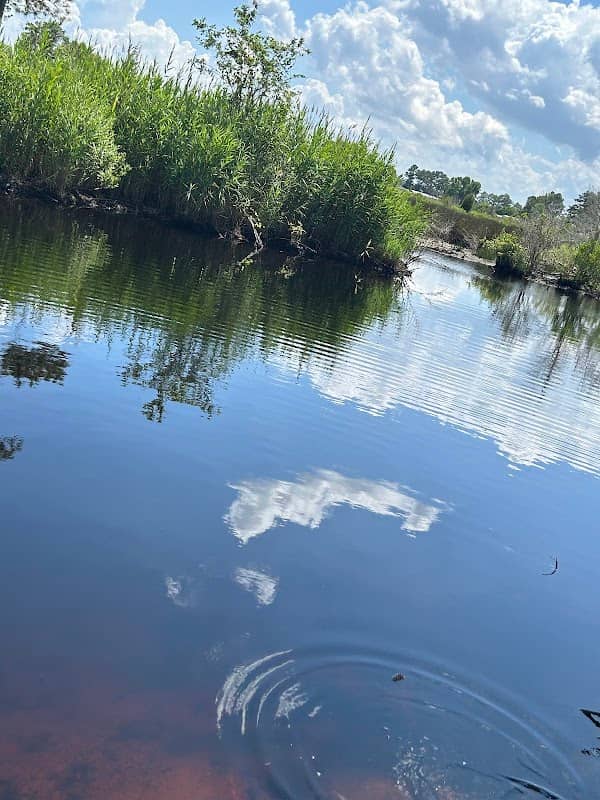 Pungo River Game Land - Image 1