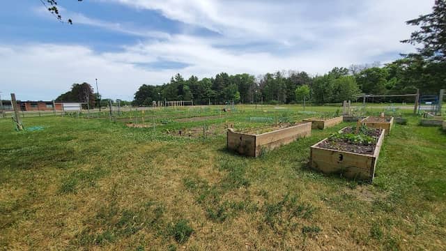 City Community Garden - Image 3