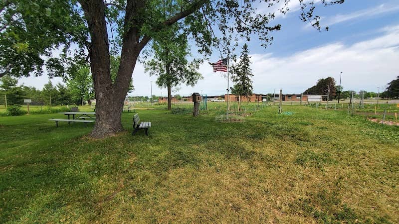 City Community Garden - Image 1