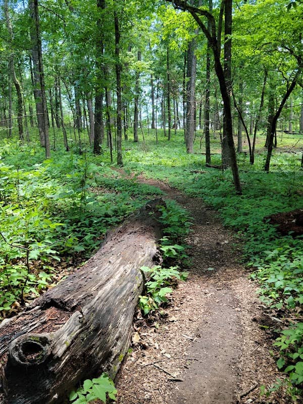 Fort Loudoun State Park - Image 1