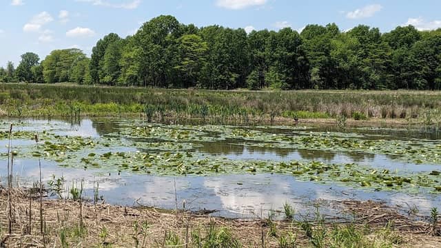 Taylor Farm Park - Image 2
