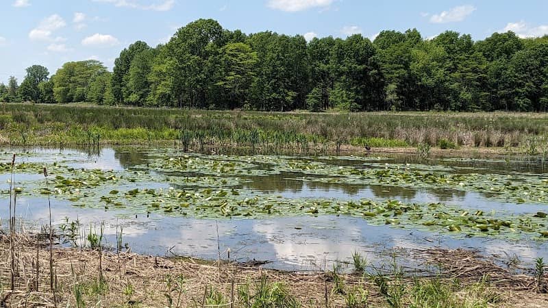 Taylor Farm Park - Image 2
