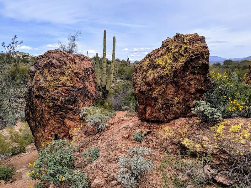 Fountain Hills Desert Botanical Garden - Image 3