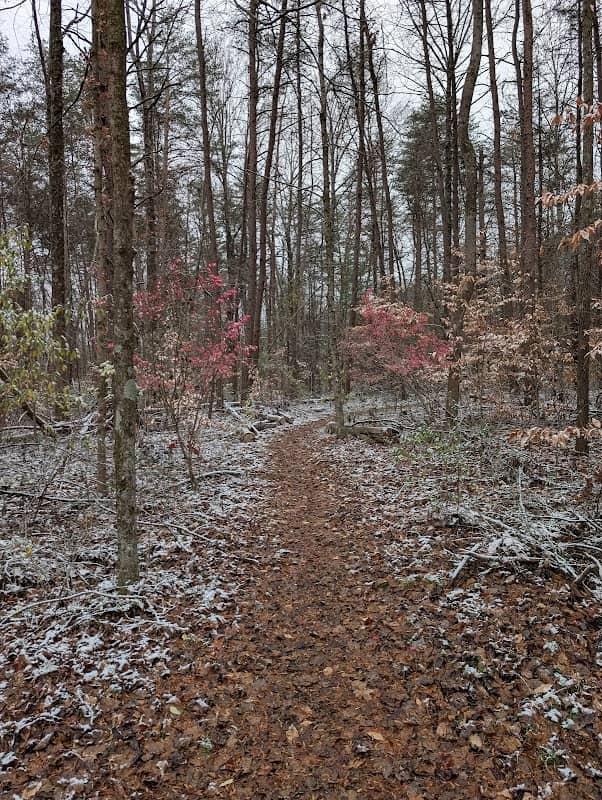 Wapehani Mountain Bike Park - Image 1