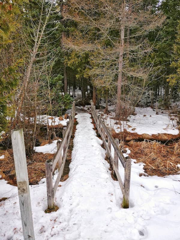 Skegemog Lake Wildlife Area North Shore Pathway Trail Head - Image 2