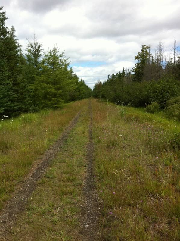 Skegemog Lake Wildlife Area North Shore Pathway Trail Head - Image 1