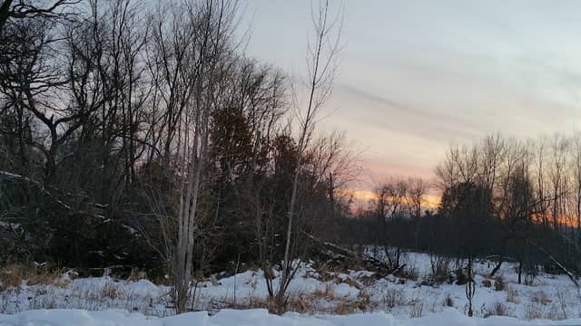 Pioneer Park - Image 3