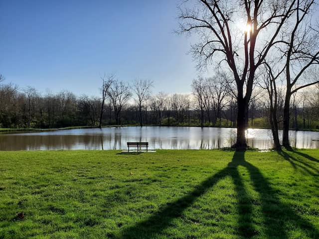 Wellfield Park - Image 1