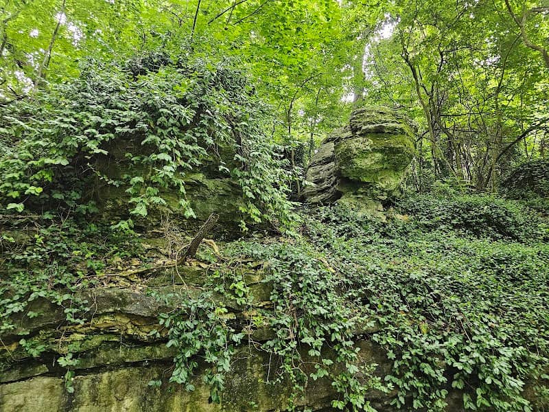 Sarcoxie Cave & Spring Natural Grounds - Image 1