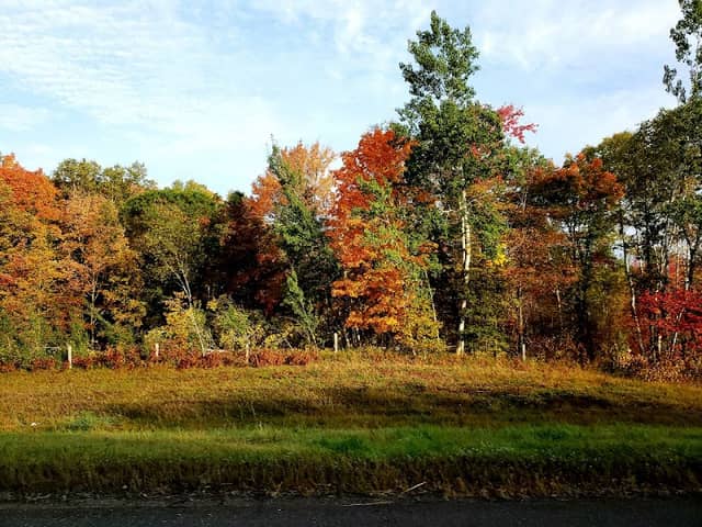 Bemidji - Image 1