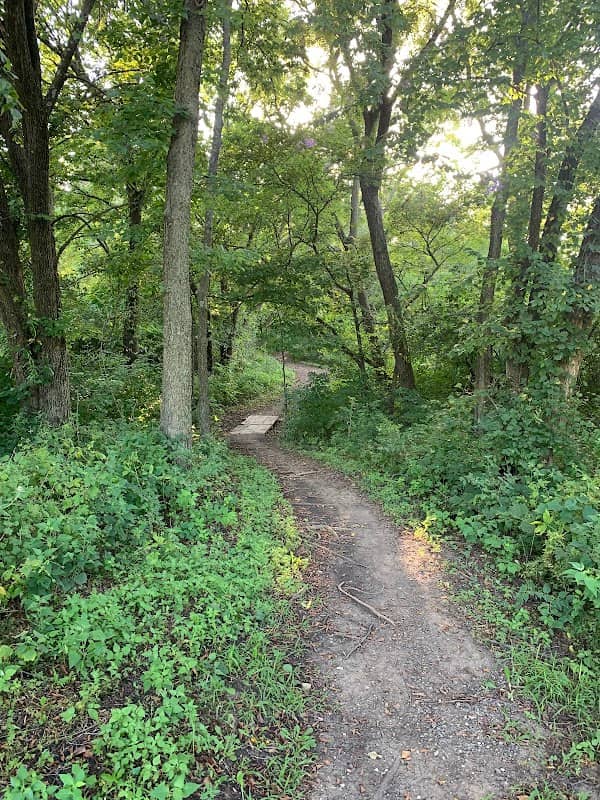 MacLennan Park Trail - Image 2