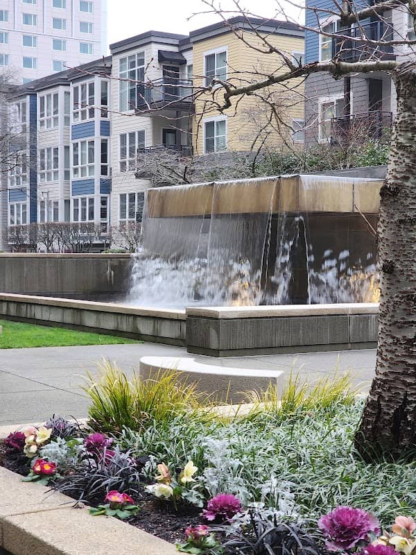 Bellevue Hidden Waterfall Park Lunch Spot - Image 1