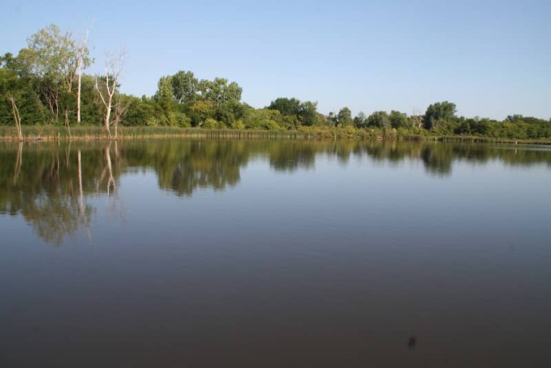 Carney Marsh Nature Preserve - Image 2