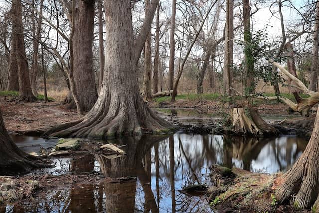 Cibolo Center for Conservation - Image 1