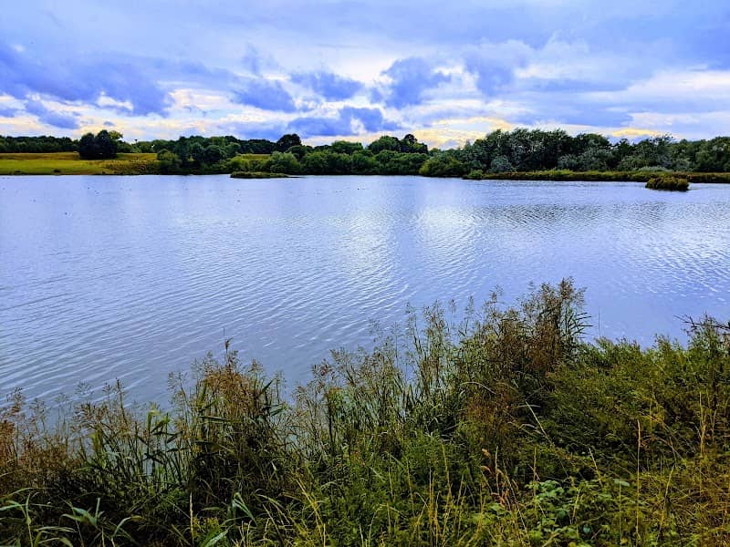Bolton-on-Swale Nature Reserve - Image 1