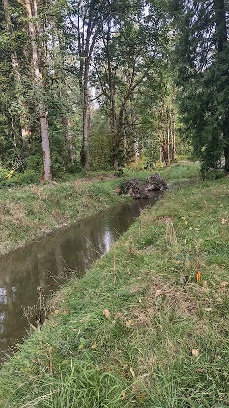 Sultan Side Channel River - Image 2