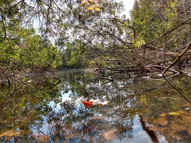Wolf Trap Park - Image 2