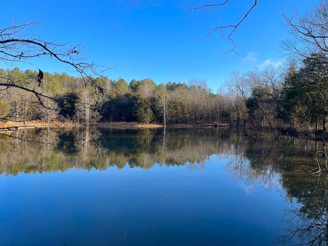 Brumley Nature Preserve Northern Part - Image 2