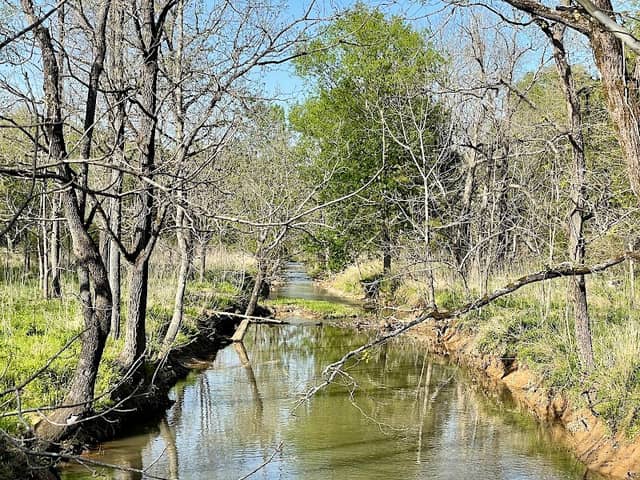 Brumley Nature Preserve Northern Part - Image 1