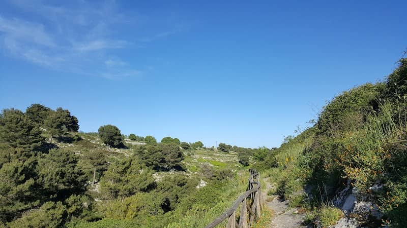 Cava Celone - Image 1