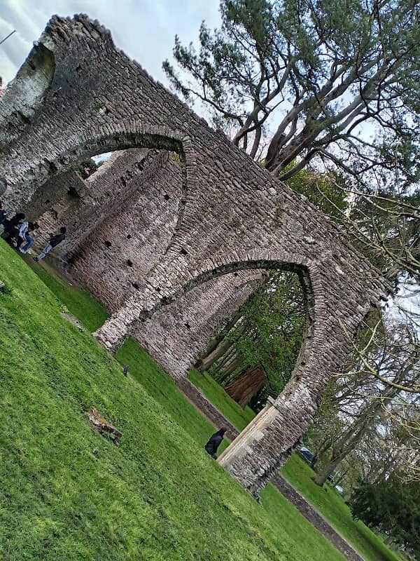 Armagh Friary (State Care Monument) - Image 3