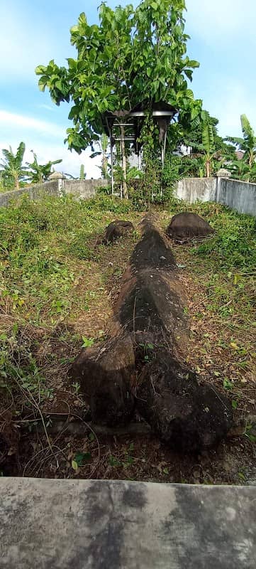 Batu Buaya - Image 1