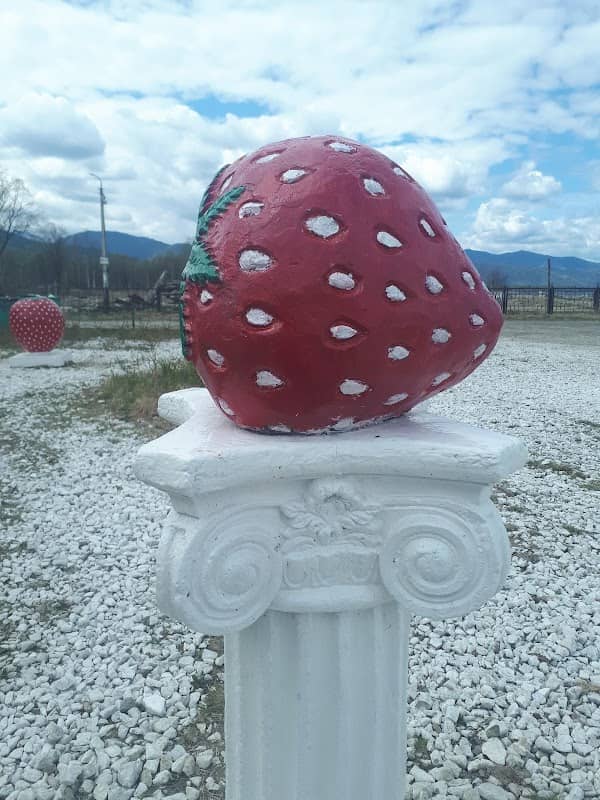 monument strawberries - Image 1