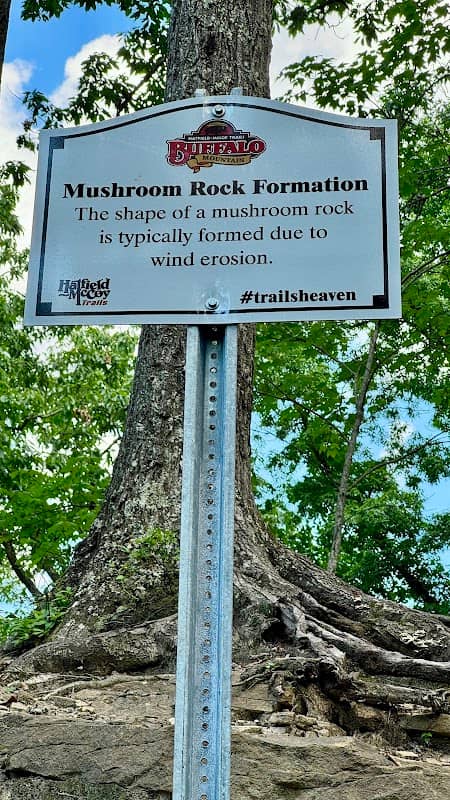 Mushroom Rock - Image 1