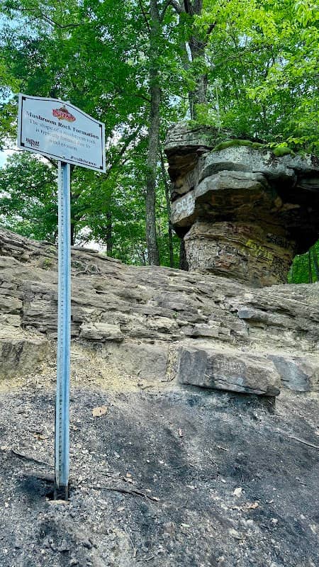 Mushroom Rock - Image 2
