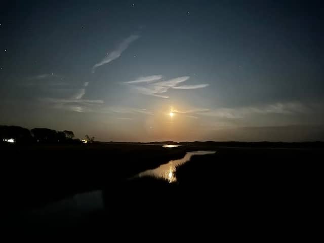 Chincoteague Marsh Boardwalk - Image 3