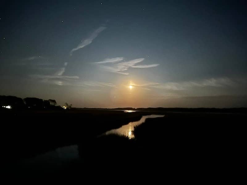 Chincoteague Marsh Boardwalk - Image 3