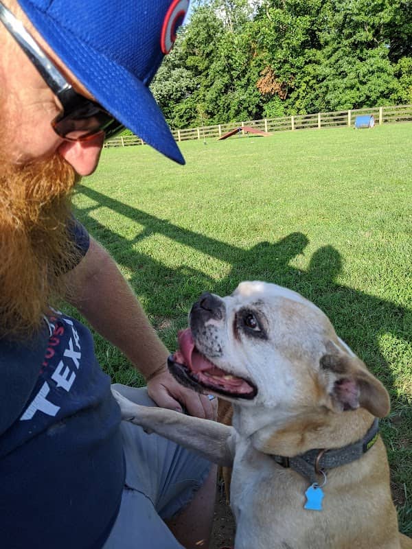 Aurora Dog Park - Image 2