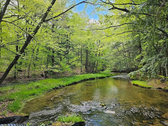 Mongaup Pond - Image 2
