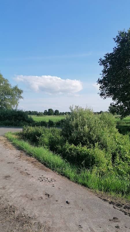 Westermoor - Image 1