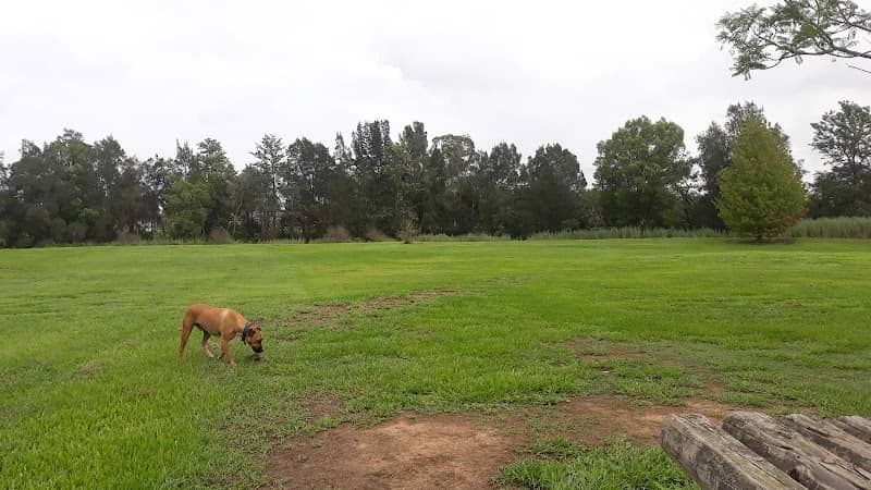 Branxton Off-leash Dog Park - Image 1