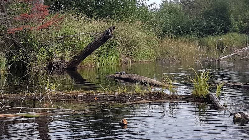 Erskine Park - Image 2