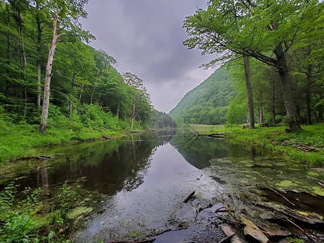 Southwest Hunter Mountain - Image 1
