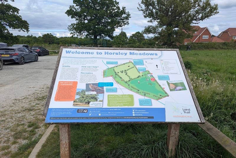 Horsley Meadows - Image 2